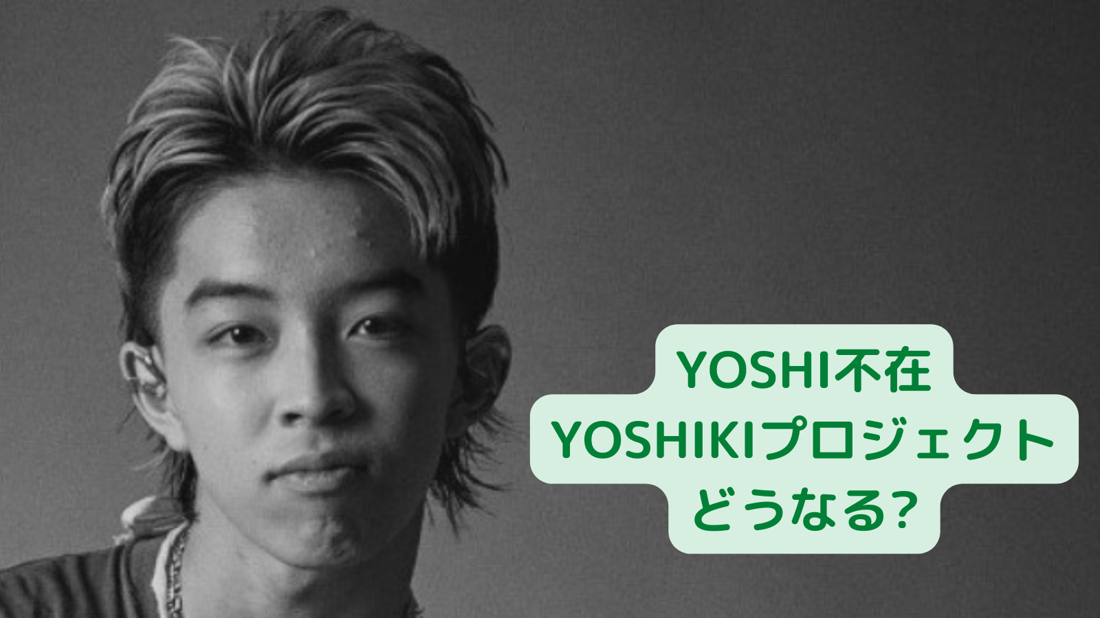 yoshi2